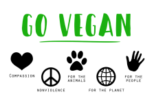 Productos de limpieza veganos.